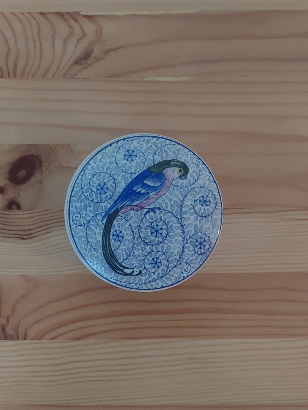Parrot Container